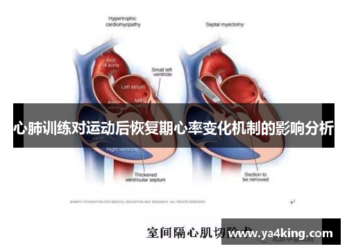心肺训练对运动后恢复期心率变化机制的影响分析